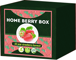 Home Berry Box Vásárlói vélemények